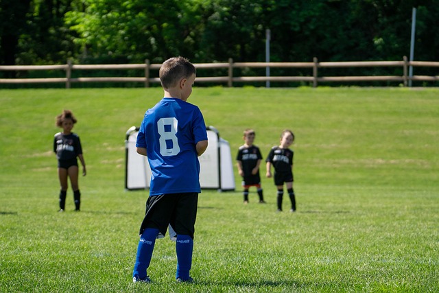 大的可能性 大的可能性