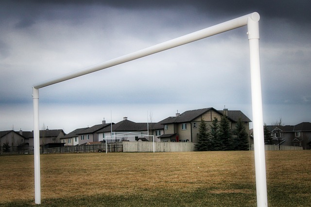 这位球员凭 这位球员凭