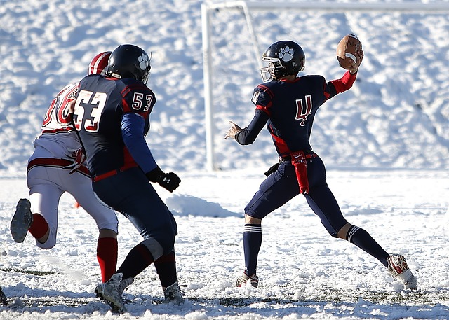 这位外援的 这位外援的