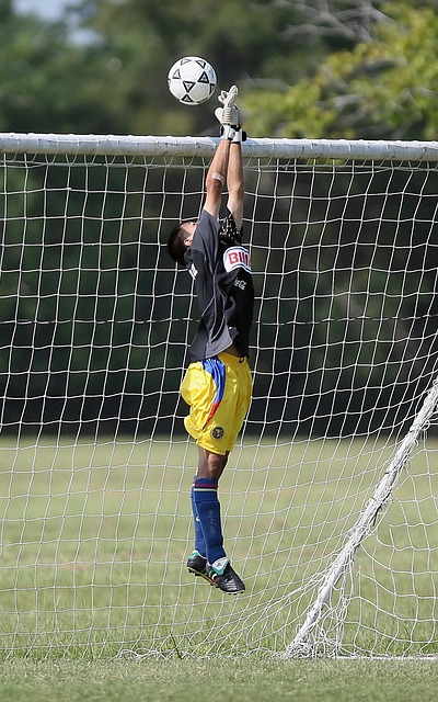 以他的热情 以他的热情